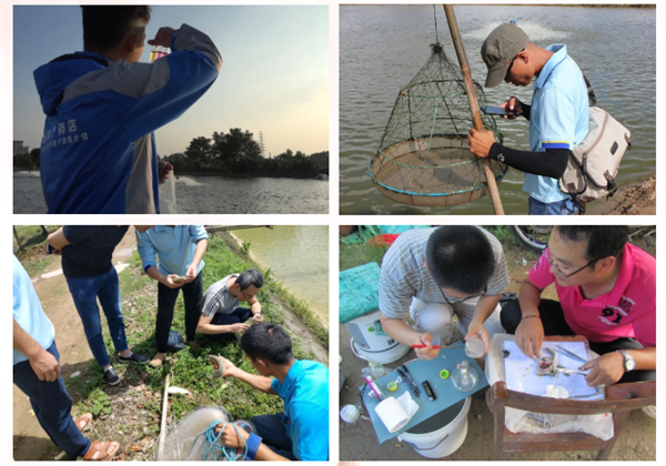 1652668304785259.png 截圖20220516091335.png