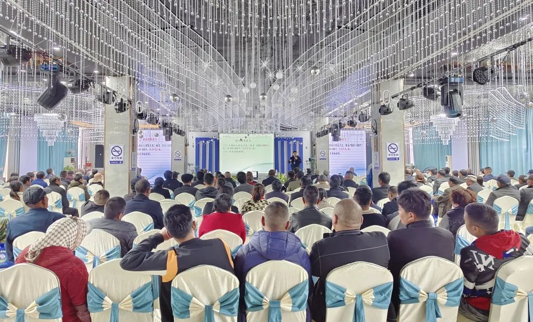 1682211828636606.jpg 2.jpg