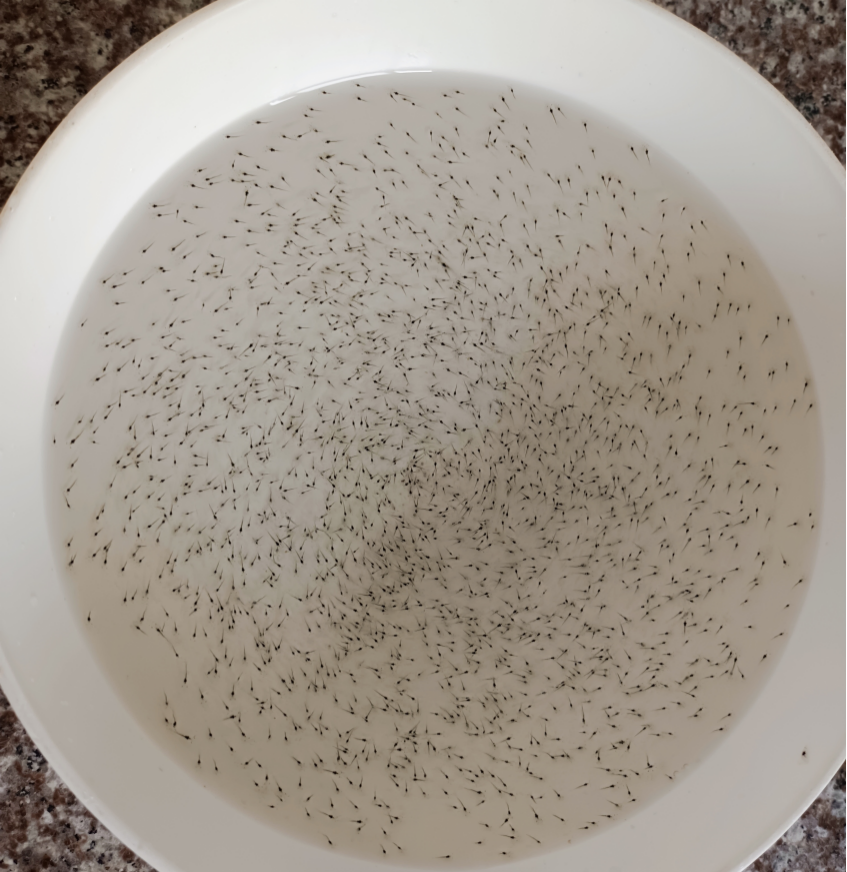 1682212360934468.png 5.png