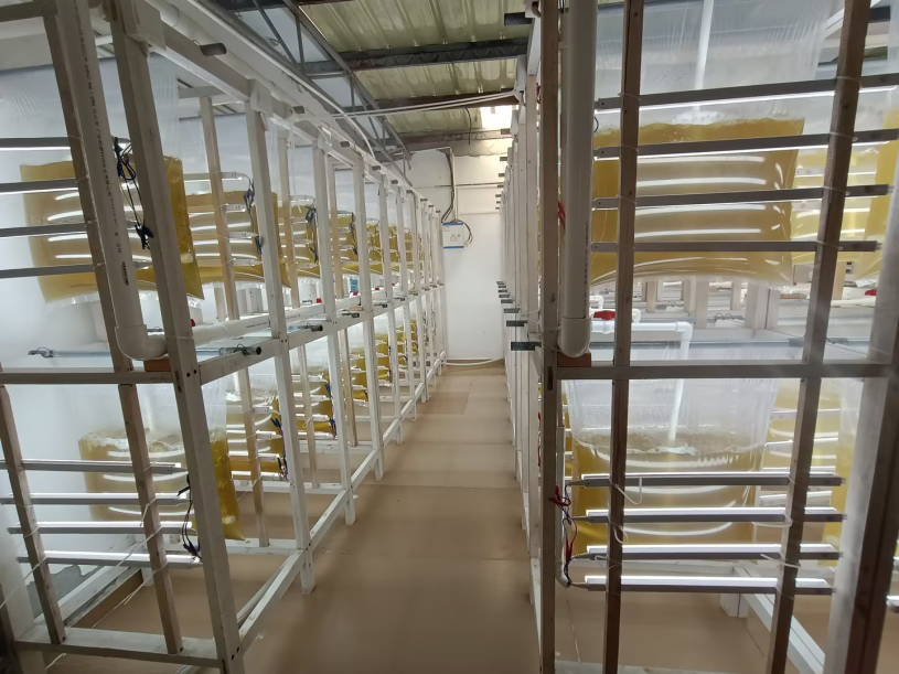 1682212382386494.png 3.png