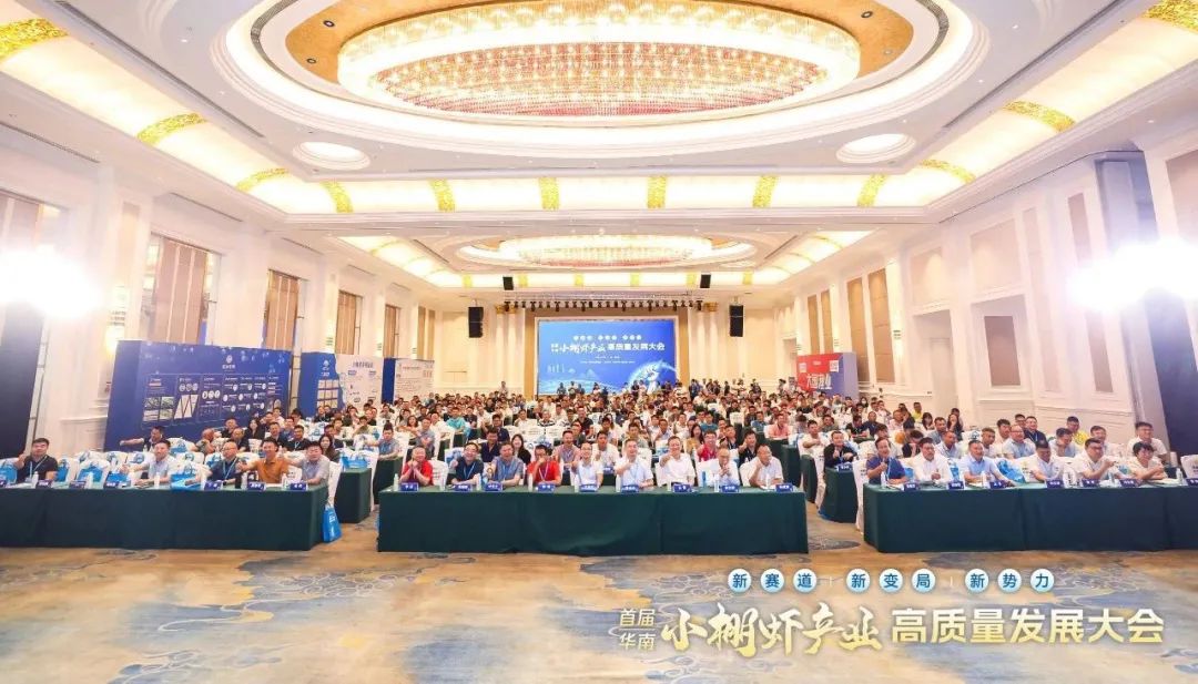 1687858145423873.jpg 4.jpg