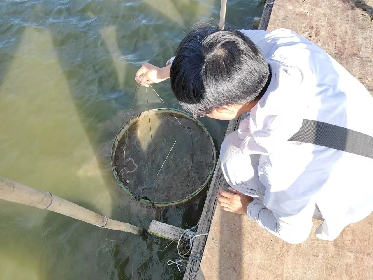 1692067228374124.jpg 1.jpg