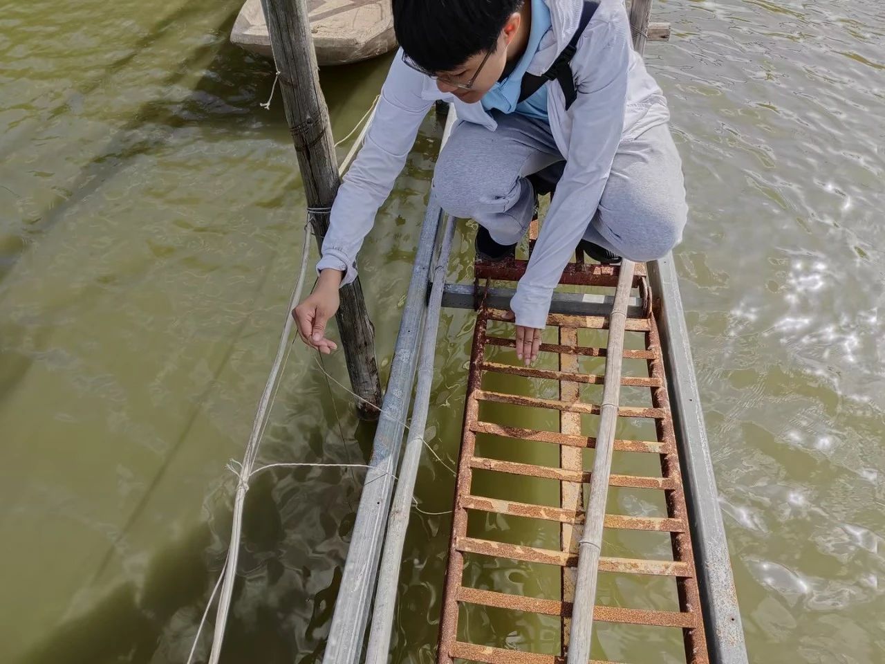 1692067258865486.jpg 3.jpg