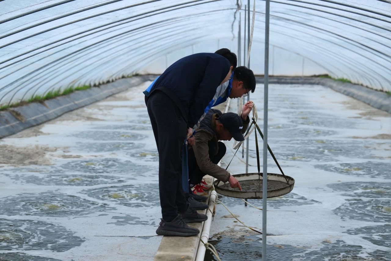 1692067603938343.jpg 6.jpg