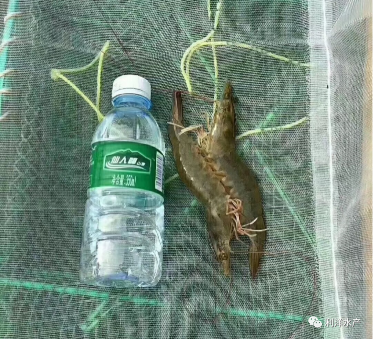 1695020887369324.png 18.png