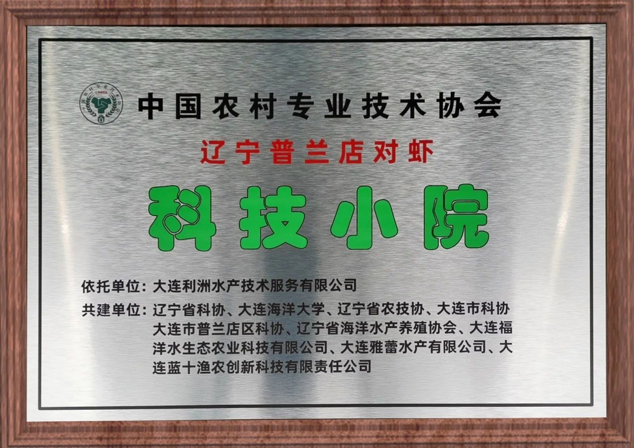 1700016526336842.jpg 32.jpg