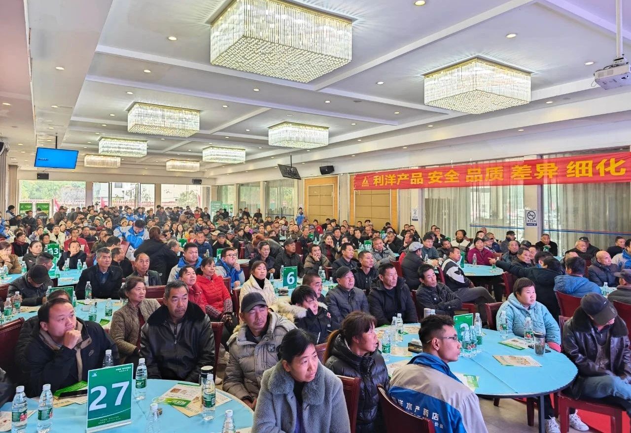 1700445341203746.jpg 33.jpg