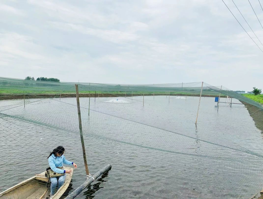 1705050269403193.jpg 39.jpg