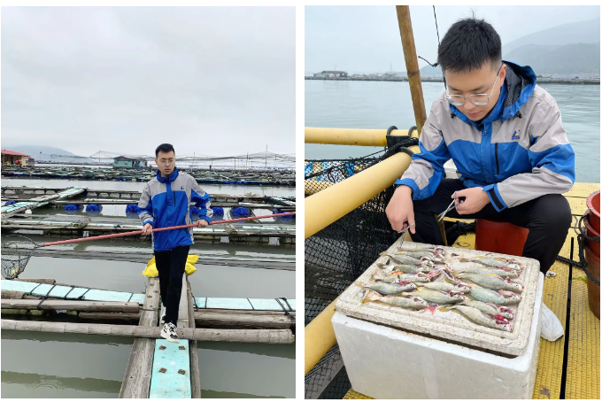 1706838694469420.png 52.png