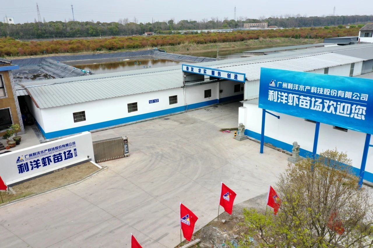 1713144130572175.jpg 53.jpg