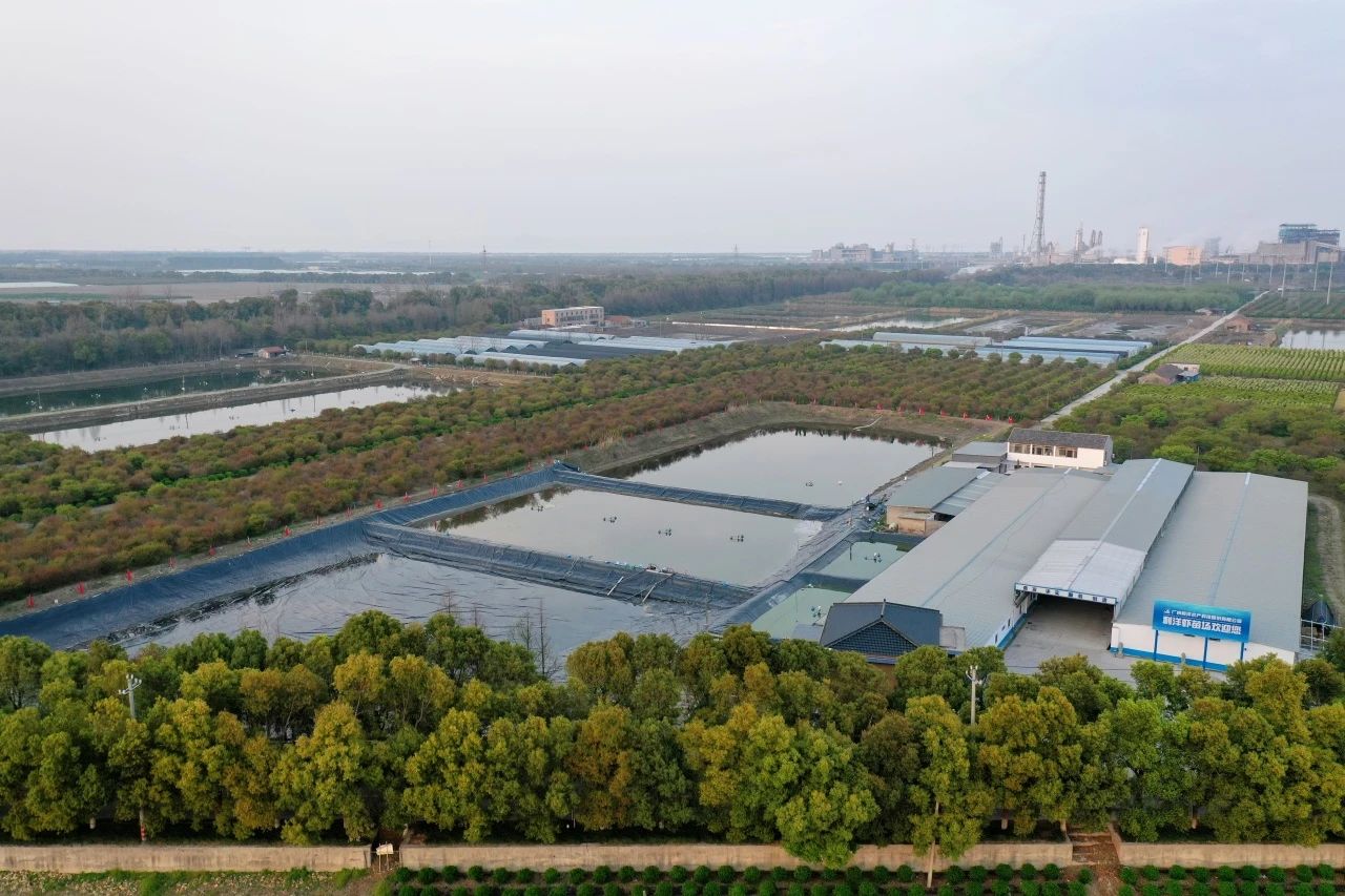 1713144170438094.jpg 51.jpg