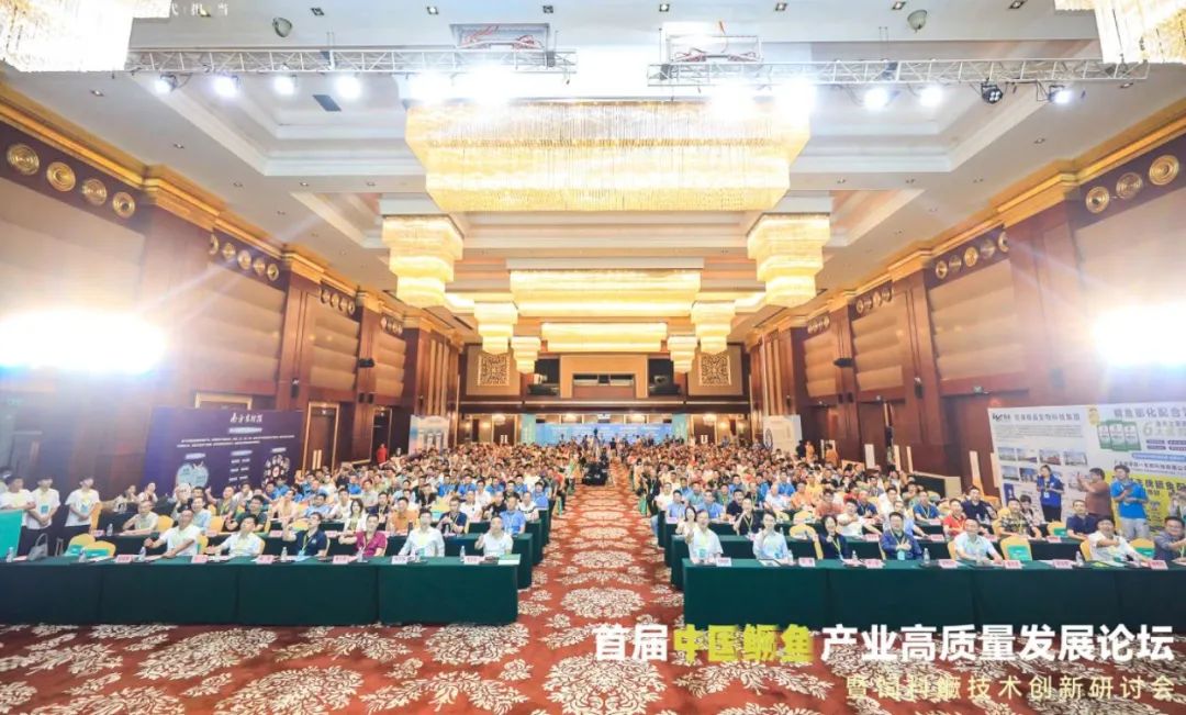 1713757459128085.jpg 54.jpg