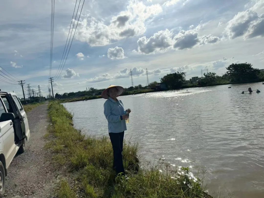 1719795845670815.jpg 71.jpg