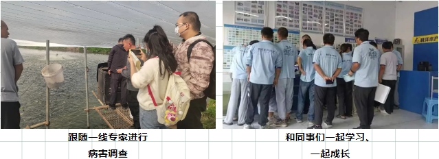 1728890398441640.jpg 89.jpg