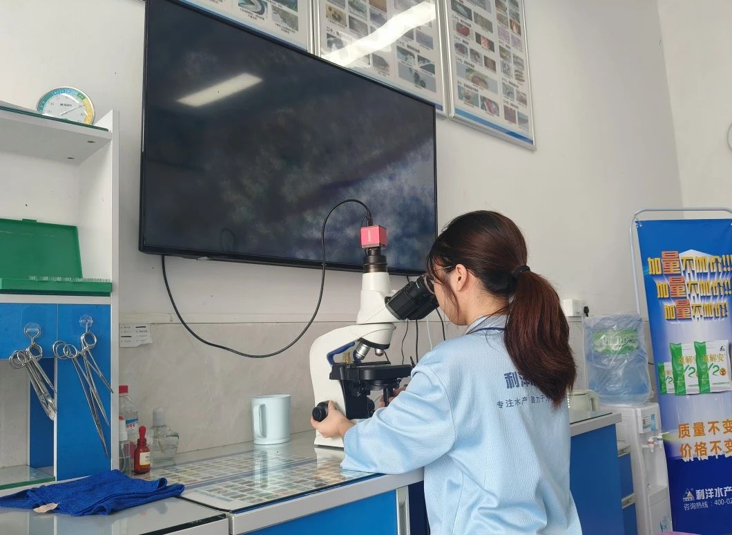 1732498627939826.jpg 100.jpg