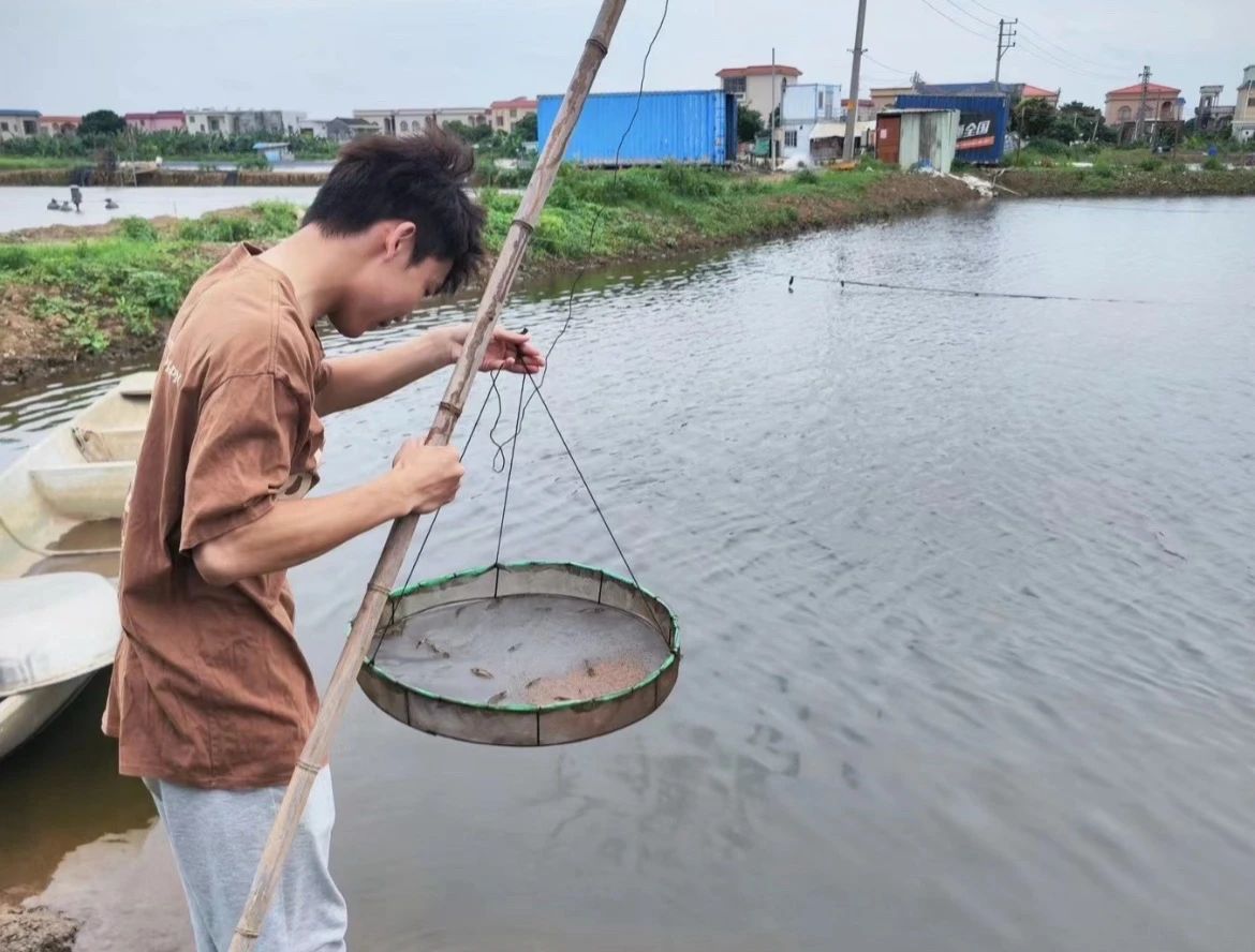 1733102186578072.jpg 103.jpg