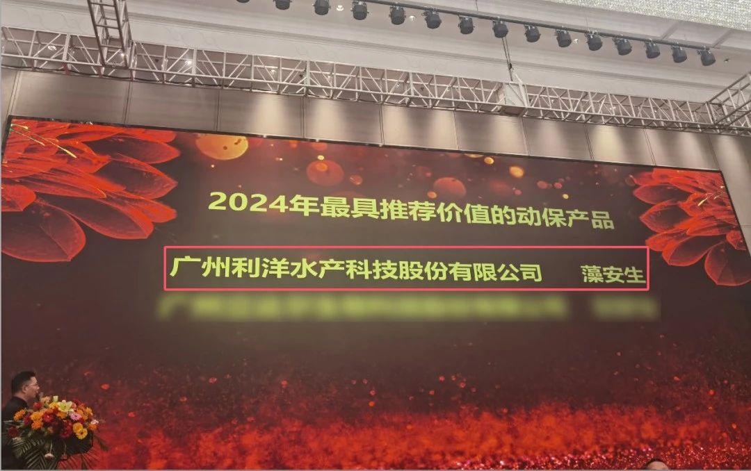 1736748788775916.jpg 113.jpg