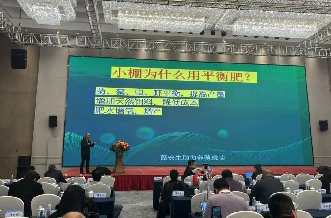 1736748799499941.jpg 114.jpg