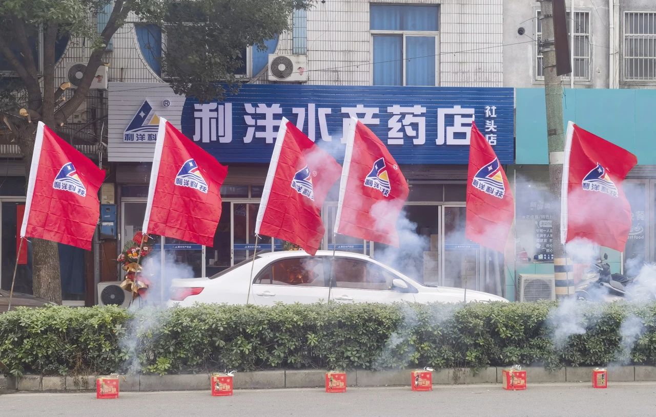 1740617460493421.jpg 117.jpg