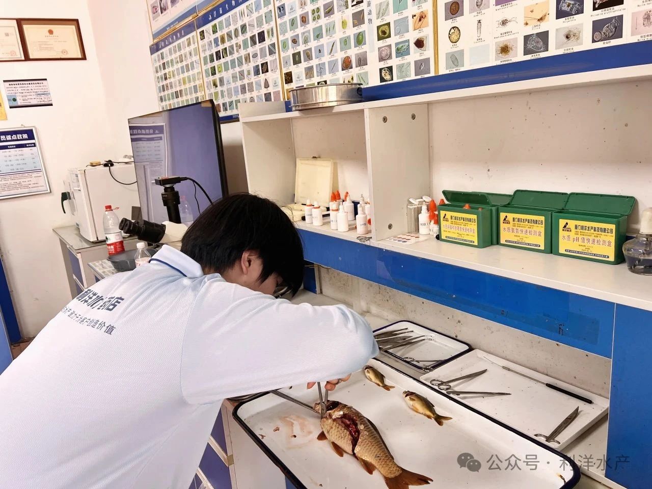 利洋的奮力托舉，給了我向上的底氣