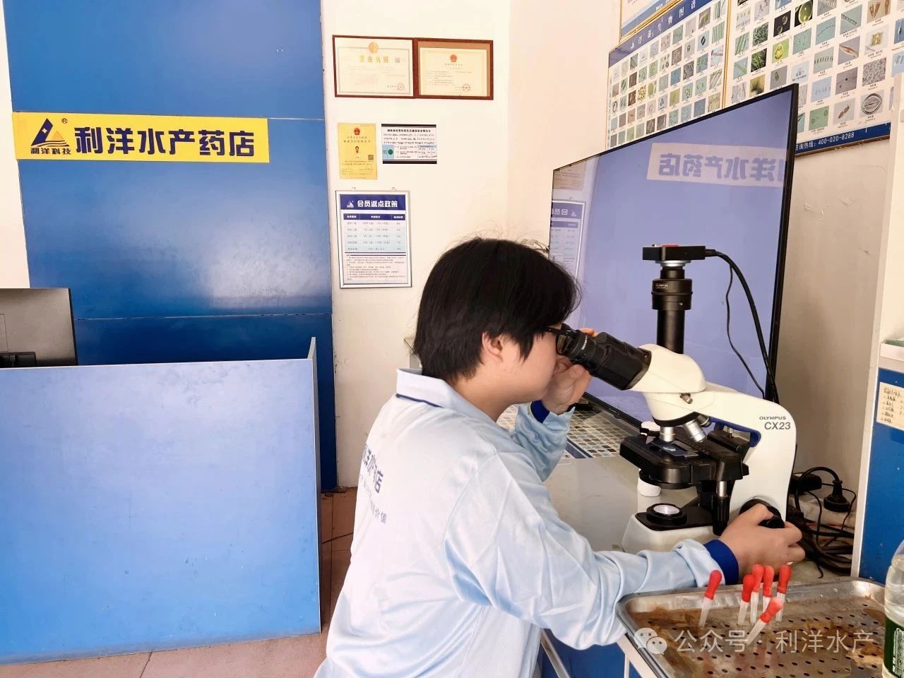 1748482065974291.jpg 131.jpg