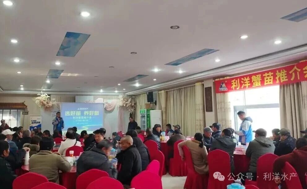 1766739885218723.jpg 24.jpg