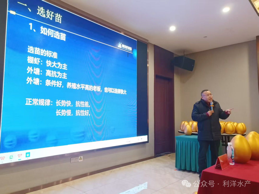 1768448122573496.png 1.png