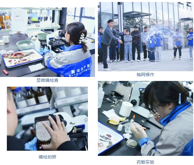 1770533076948854.jpg 3.jpg