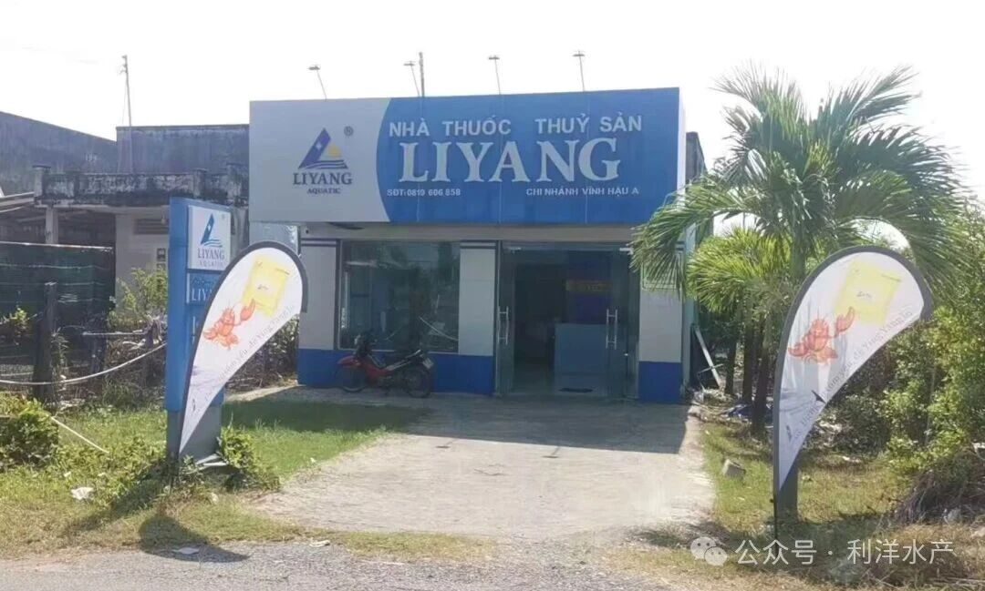 1772588731440316.jpg 37.jpg