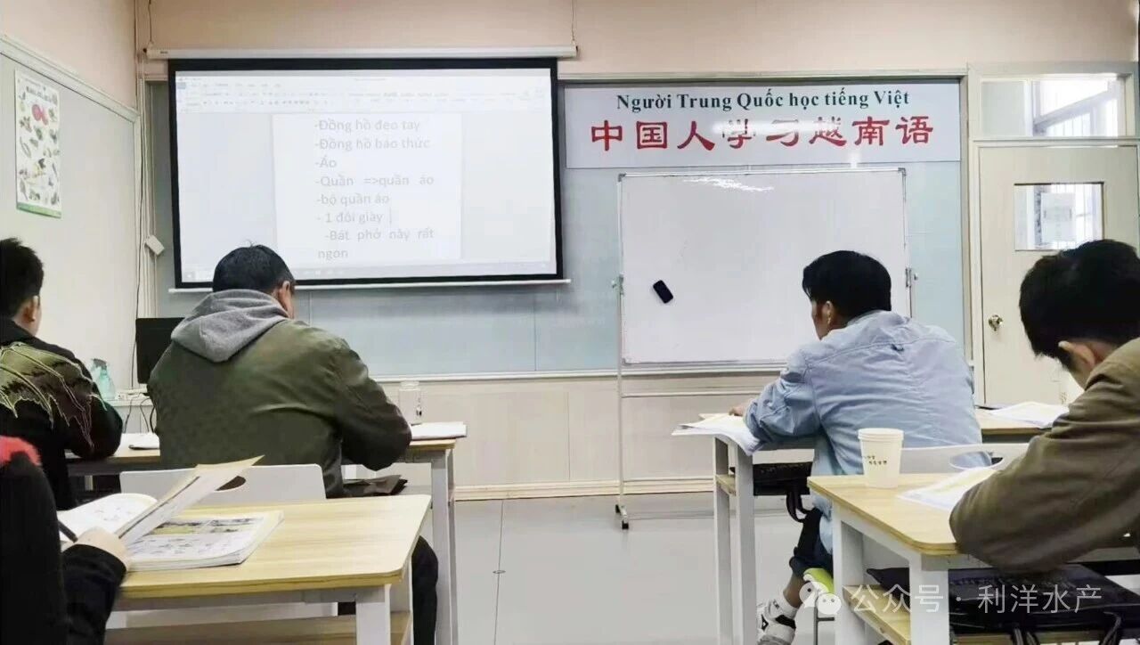 1772588749453810.jpg 38.jpg